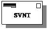 Reserved: SVNT